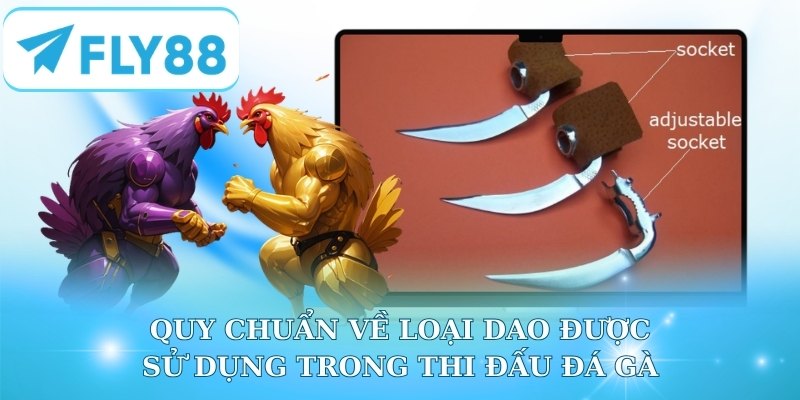 Quy chuẩn về loại dao được sử dụng trong thi đấu